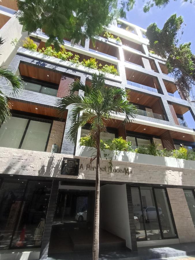 Lujo Recien Construido En Quinta Avenida Apartamento *