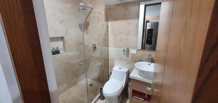 Lujo Recien Construido En Quinta Avenida * Playa del Carmen